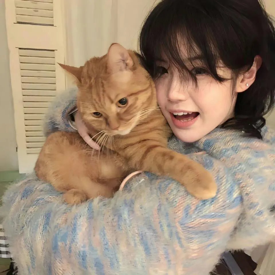 拳脚刑警：唐人街